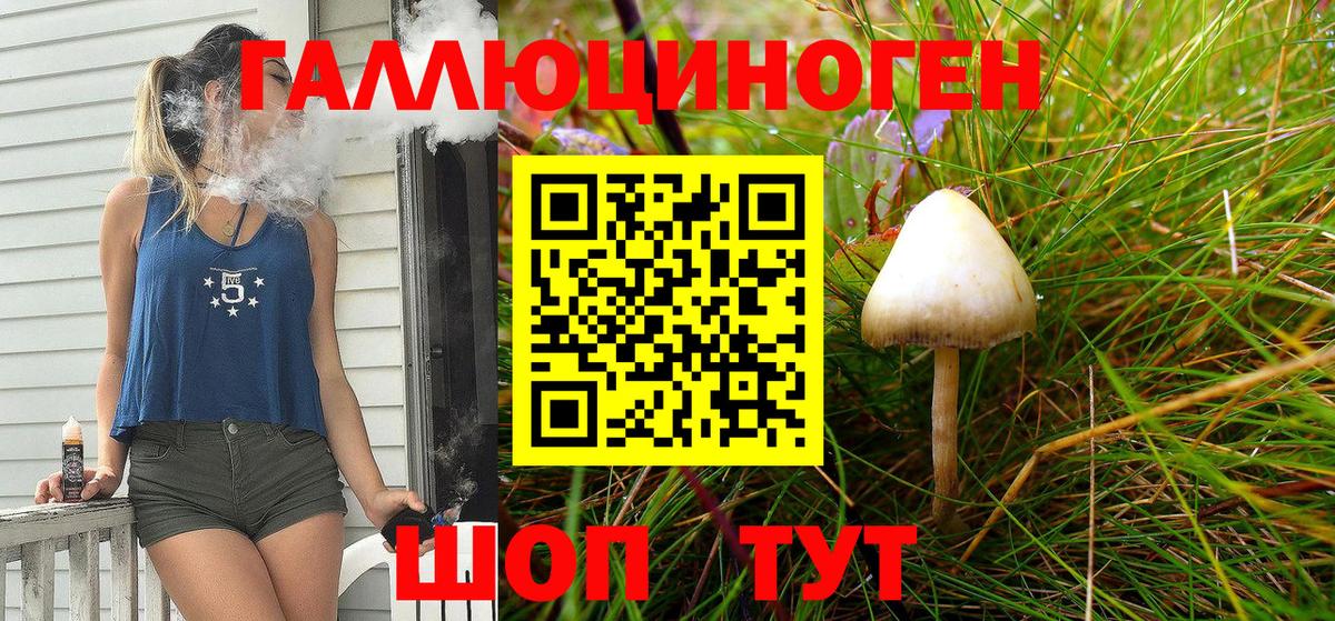 Псилоцибиновые грибы Magic Shrooms  Вход с VPN  дарнет шоп  Гулькевичи 