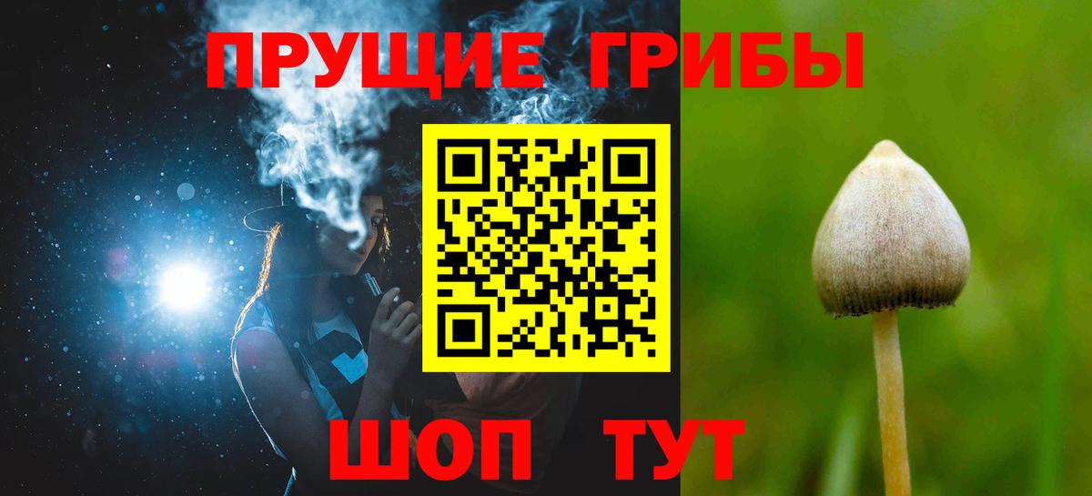 Псилоцибиновые грибы прущие грибы Гулькевичи